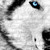 :iconaurorisnightfly: