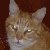 :iconauroter: