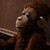 :iconaurypigment:
