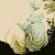 :iconauskell: