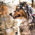 aussiefoto :iconaussiefoto: