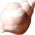 :iconaussiesheila: