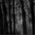 :iconaustereblackcat: