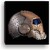 :iconaustin8001: