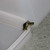:iconaustins-tiger: