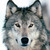 :iconaustinwolfie: