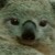 :iconaustralianman69: