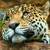 AuthenticBeauty1 :iconauthenticbeauty1: