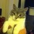 :iconautocanadien: