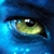 :iconautocrosser1: