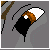 :iconautolycusda: