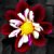 :iconautomatic-bazooty: