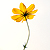 :iconautophoto: