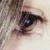 :iconautumn-angeline: