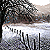 :iconautumn-ethereal:
