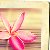 :iconautumn-road72: