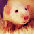 :iconautumnaldragon: