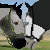 :iconautumndaybreakluver: