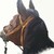 :iconautumnfawna: