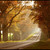 :iconautumnfloral: