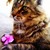 :iconautumnjonquil: