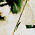 :iconautumnletter: