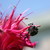 :iconautumnmb007: