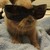 AutumnRelives :iconautumnrelives: