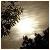 :iconautumns-lament: