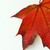 :iconautumnsiria: