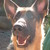 :iconautumnsong-live-love: