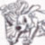 :iconauw-creative: