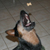 :iconAuzziedog: