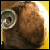 :iconava-eve: