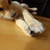 :iconavalon12e:
