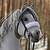 :iconavalon90: