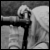 :iconavanties: