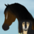 :iconavarairstables: