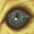 :iconavarea: