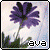 Avarrie :iconavarrie: