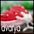 :iconavarya: