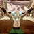 :iconavataruser: