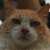 :iconavaviel: