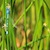 :iconavecave:
