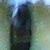 :iconavecmesyeux: