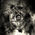 :iconavengedproductions: