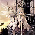 :iconaveriefayex3: