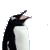 :iconaverile: