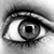 :iconaverose666: