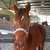 :iconavery0019: